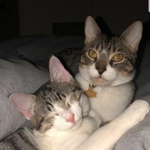 Meet your Posher, Dillon